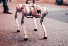 Photo by Gezer Amorim: https://www.pexels.com/photo/white-dog-robot-26804169/