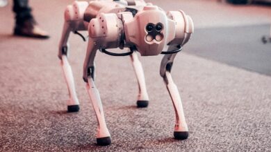 Photo by Gezer Amorim: https://www.pexels.com/photo/white-dog-robot-26804169/